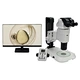 Motorized Research Zoom Stereo Microscope